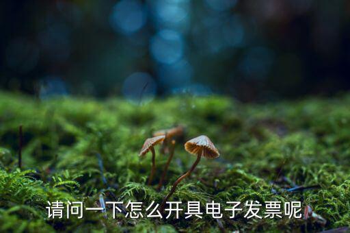 上海如何申領(lǐng)電子發(fā)票，請(qǐng)問一下怎么開具電子發(fā)票呢