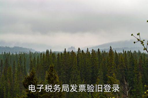 如何在電子稅務(wù)局驗(yàn)舊發(fā)票，發(fā)票怎么樣驗(yàn)舊