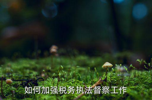 如何加強(qiáng)稅務(wù)系統(tǒng)巡視巡察，如何加強(qiáng)稅務(wù)執(zhí)法督察工作