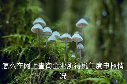 如何查詢企業(yè)個(gè)稅申報(bào)名單，怎樣查詢公司的所得稅已經(jīng)申報(bào)了