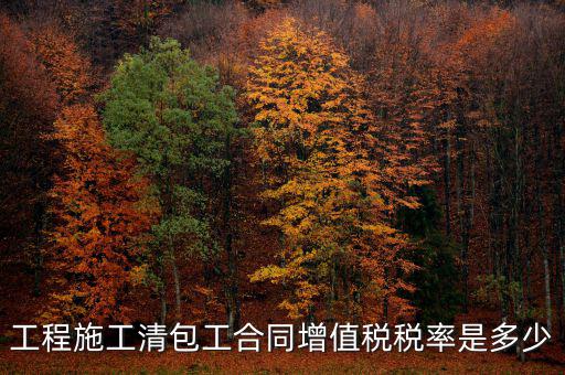 清包工 如何稅務(wù)，一般納稅人去國稅說明是清包工怎么寫說明