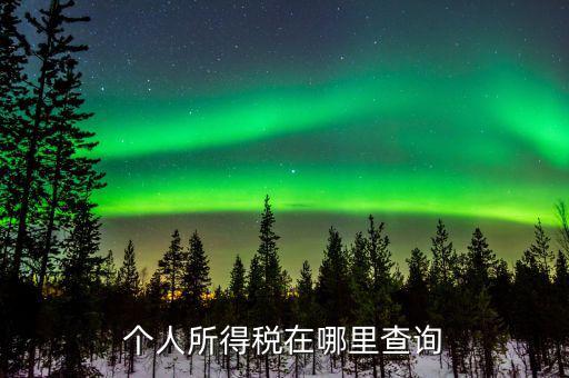 江蘇自然人如何查詢個稅繳納，個人稅怎么查