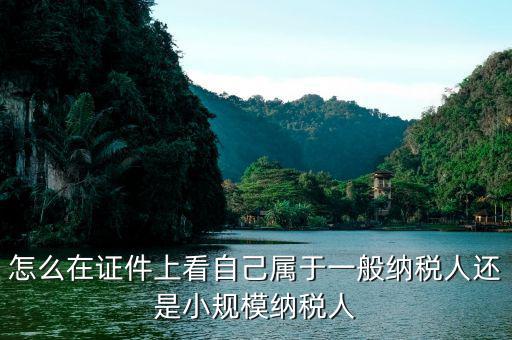 如何證明是一般納稅人，一般納稅人證明是什么