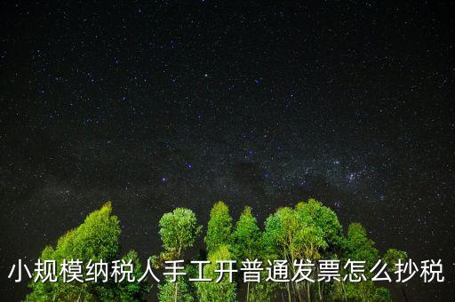 小規(guī)模納稅人開票系統(tǒng)如何抄報(bào)稅，小規(guī)模稅款控盤如何抄報(bào)稅