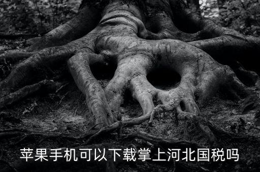 河北掌上國稅如何注冊，蘋果手機可以下載掌上河北國稅嗎