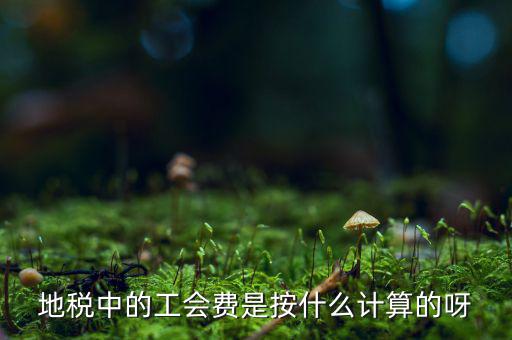 交地稅時(shí)的工會(huì)經(jīng)費(fèi)如何計(jì)算方法，地稅中的工會(huì)費(fèi)是按什么計(jì)算的呀