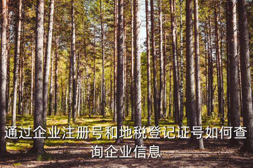 企業(yè)稅務(wù)信息如何查詢，通過(guò)企業(yè)注冊(cè)號(hào)和地稅登記證號(hào)如何查詢企業(yè)信息