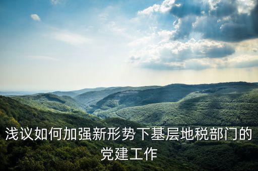 國(guó)地稅改革如何做好基層工作，淺議如何加強(qiáng)新形勢(shì)下基層地稅部門的黨建工作