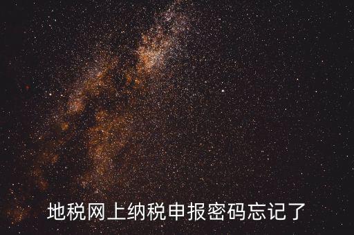 網(wǎng)報如何復(fù)制密碼，地稅網(wǎng)上納稅申報密碼忘記了