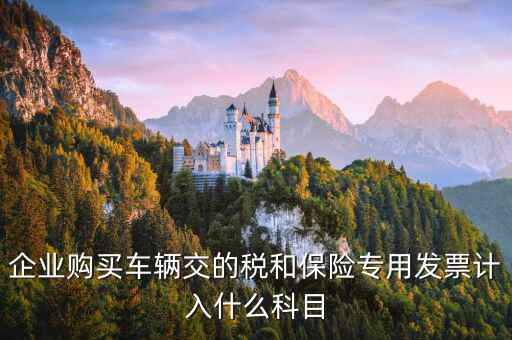 汽車保險(xiǎn)收到專票如何入賬，車輛保險(xiǎn)怎么入賬