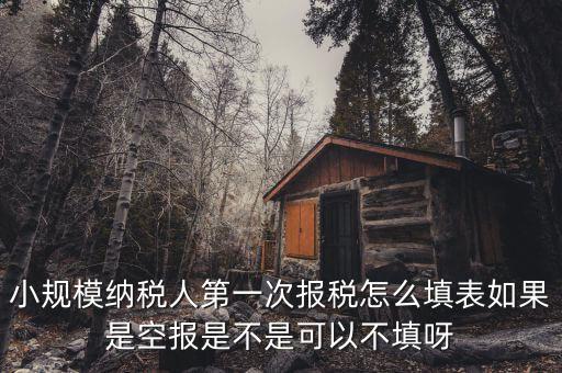 如何填寫首次辦稅補充信息表，稅務(wù)登記補充信息采集表怎么填 誰知道啊