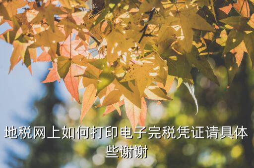 電子完稅憑證如何打印，地稅網(wǎng)上如何打印電子完稅憑證請(qǐng)具體些謝謝