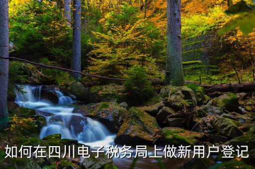 成都稅務(wù)個(gè)人賬號如何注冊，如何在四川電子稅務(wù)局上做新用戶登記