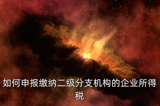 分支機(jī)構(gòu)企業(yè)所得稅如何申報，如何申報繳納二級分支機(jī)構(gòu)的企業(yè)所得稅