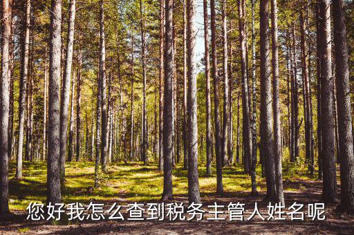 如何查稅務(wù)管理所，怎么才能查到各地工商局的稅務(wù)證登記