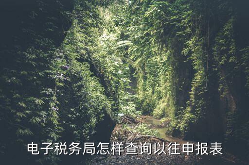 寧波地稅如何查往期申報(bào)信息，怎樣查看地稅網(wǎng)上申報(bào)記錄