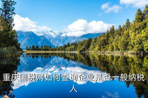 如何查詢?cè)鲋刀愐话慵{稅人資格，重慶國稅網(wǎng)如何查詢企業(yè)是否一般納稅人