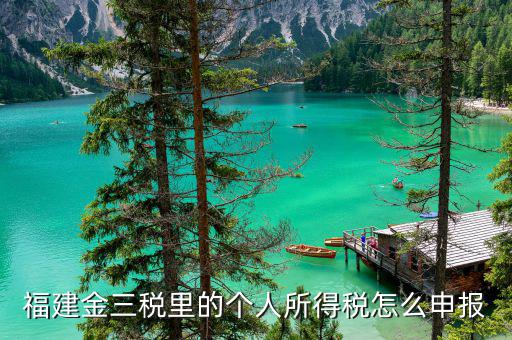 福建金三稅里的個(gè)人所得稅怎么申報(bào)
