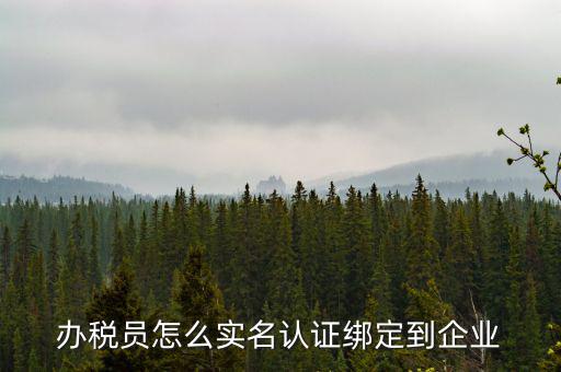 重慶稅務(wù)局辦稅人員如何綁定，個(gè)人怎么綁定企業(yè)辦稅員