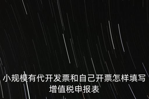 代開專票申報(bào)時(shí)如何填寫，自助開具增值稅專用發(fā)票申報(bào)單怎么填