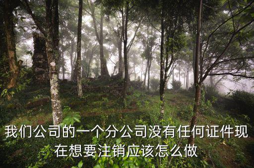 外管證不見了如何注銷，注銷外管證沒帶公司章可以嗎