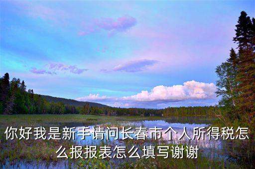 長春國稅如何報稅，長春市地稅申報