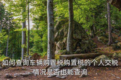 如何查汽車購(gòu)置稅，我想查查我的車輛購(gòu)置稅是多少怎么查
