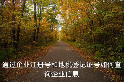 山東 如何查企業(yè)稅務(wù)信息，通過企業(yè)注冊號和地稅登記證號如何查詢企業(yè)信息