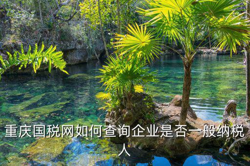 如何在國稅網(wǎng)查是否一般納稅人，怎么在網(wǎng)上查一個(gè)單位是不是一般納稅人
