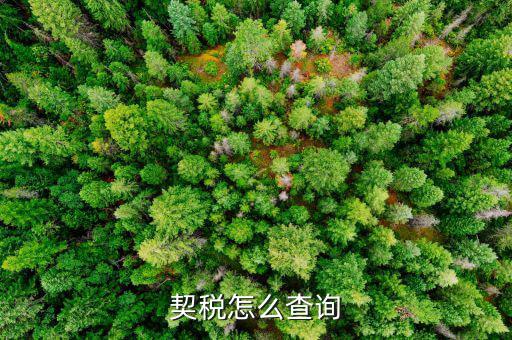 如何查詢契稅繳稅時間，契稅怎么查詢
