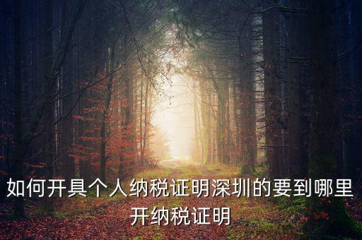 如何開地方稅務(wù)局納稅證明，地稅證明怎么開
