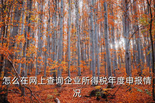 企業(yè)稅務(wù)信息如何查詢系統(tǒng)，通過企業(yè)注冊號和地稅登記證號如何查詢企業(yè)信息