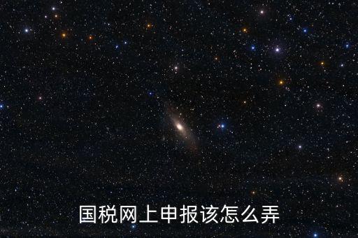 國(guó)稅新系統(tǒng)如何申報(bào)，國(guó)稅網(wǎng)上申報(bào)該怎么弄