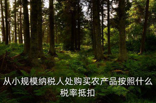 從小規(guī)模納稅人處購買農產品按照什么稅率抵扣