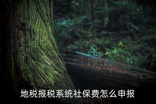 地稅如何申報(bào)社保嗎，地稅報(bào)稅時(shí)社保怎么填