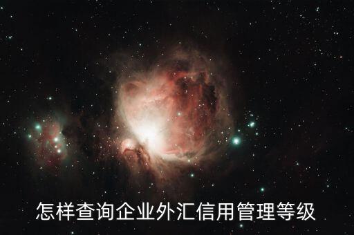 如何查詢企業(yè)信用等級，怎樣查詢企業(yè)外匯信用管理等級