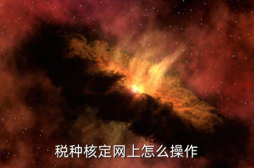 如何稅局網(wǎng)站上開(kāi)通稅種，稅種認(rèn)定在電子稅務(wù)局怎么操作