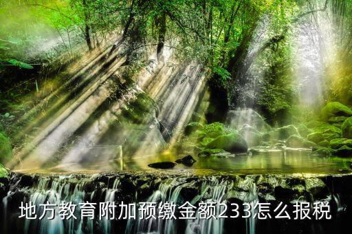 預(yù)繳增值稅如何申報(bào)附加稅，地方教育附加預(yù)繳金額233怎么報(bào)稅