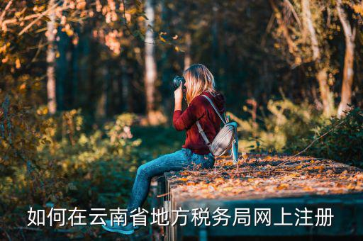 如何進(jìn)入云南稅務(wù)系統(tǒng)上報稅，如何在云南省地方稅務(wù)局網(wǎng)上注冊