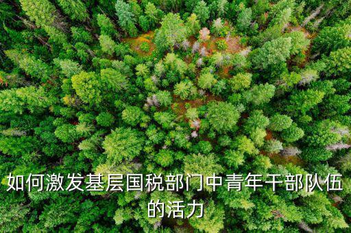 稅務如何激發(fā)干部活力，如何激發(fā)稅務干部的創(chuàng)新積極性