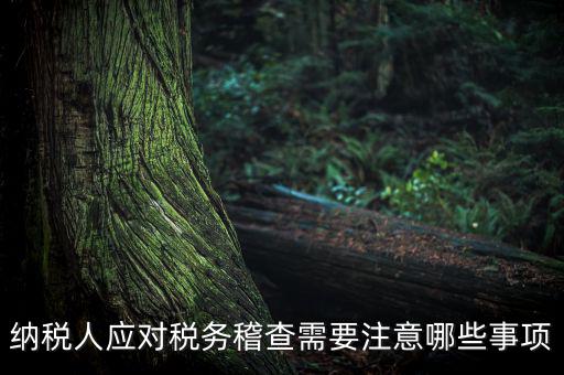 國稅稽查如何應(yīng)對聽證，怎么應(yīng)對稅務(wù)局的稅務(wù)稽查