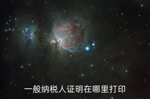 如何打印一般納稅人證明文件，一般納稅人資格認定表如何在網(wǎng)上打印文書