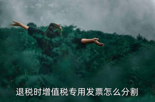 申報退稅如何分批，同一個退稅申報期內(nèi)可以申報2個批次嗎