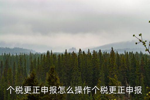 福建個人所得稅如何申報更正，個稅申報錯了如何更正