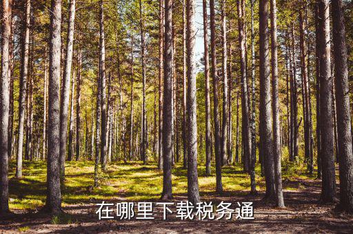 國(guó)稅網(wǎng)站軟件如何下載，國(guó)稅申報(bào)現(xiàn)在軟件去哪下載