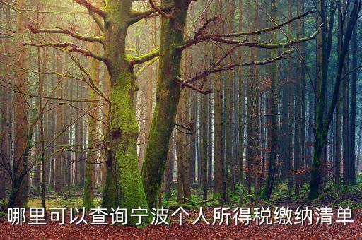 寧波個(gè)人納稅如何查詢，哪里可以查詢寧波個(gè)人所得稅繳納清單