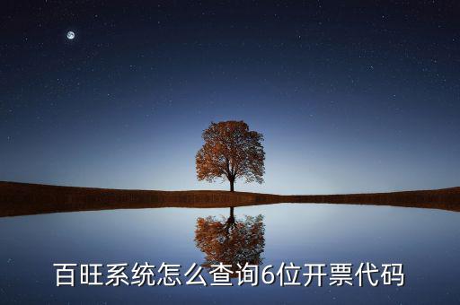 如何獲取開(kāi)票代碼，增值稅專用發(fā)票開(kāi)票時(shí)輸開(kāi)票碼是怎么操作