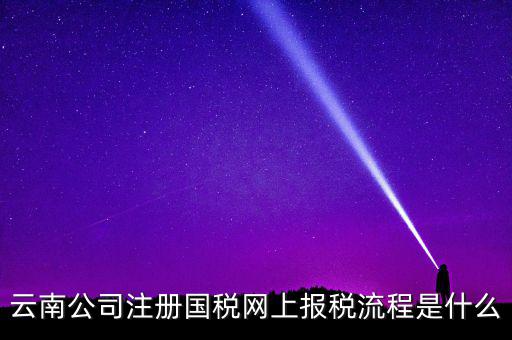 云南公司注冊(cè)國稅網(wǎng)上報(bào)稅流程是什么