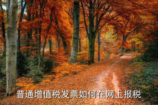 普通增值稅發(fā)票如何在網上報稅