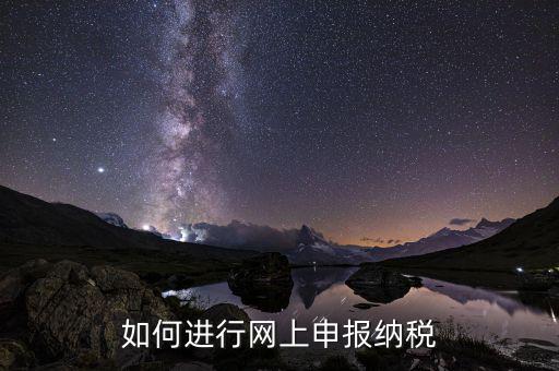 如何設(shè)置稅務(wù)網(wǎng)站，如何進(jìn)行網(wǎng)上申報納稅